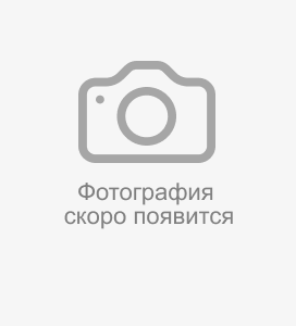 РАДИАТОР  чуг. МОДЕРН-500  12 сек.   KONNER с кронш